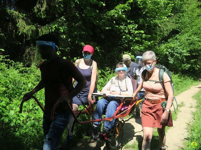 Randonnée joëlettes à Vresse